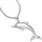 Preview: Anhänger Delfin 925 Sterling Silber rhodiniert teilmattiert