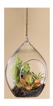14 cm großes Tropfenglas mit Deko Kaktus Sukkulente