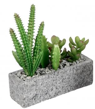 Deko Kaktus im Grauen Topf 19 x 5 cm