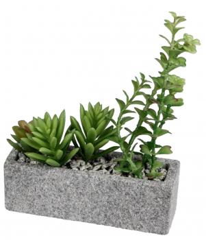 Deko Kaktus im grauen Steintopf 19 x 5 cm