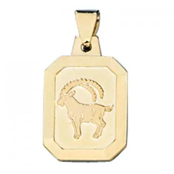 Anhänger Sternzeichen Steinbock aus 333 Gelbgold matt