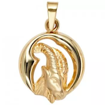 Anhänger Sternzeichen Steinbock 375 Gold Gelbgold matt