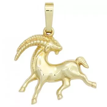 Sternzeichen-Anhänger aus 333 Gelbgold Steinbock