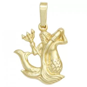 Sternzeichen-Anhänger aus 333 Gelbgold Wassermann