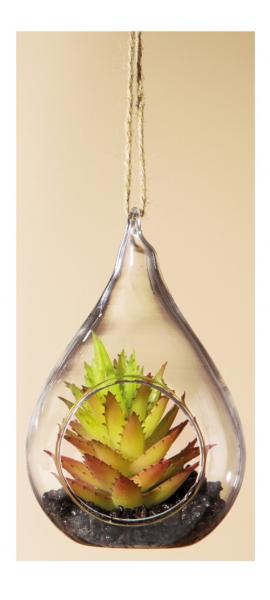 11,5 cm großes Tropfenglas mit einem Deko Kaktus