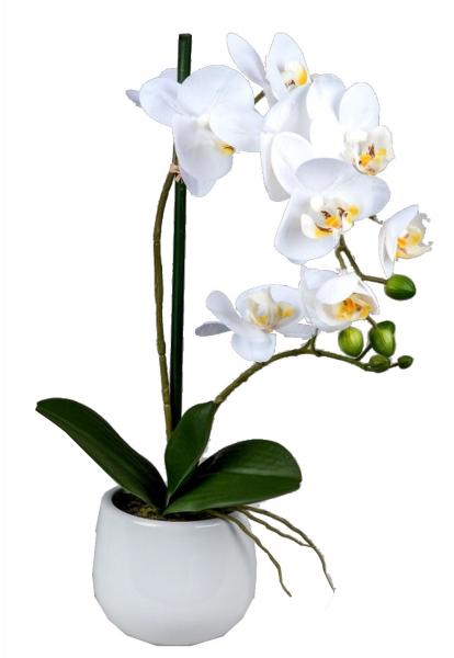 Wunderschöne Orchidee im Porzellantopf, weiß, 48 cm