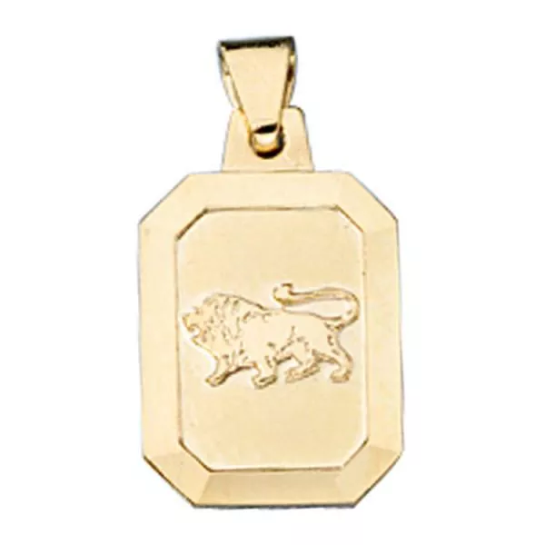 Anhänger Sternzeichen Löwe aus 333 Gelbgold teilmattiert