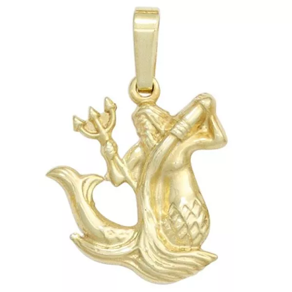 Sternzeichen-Anhänger aus 333 Gelbgold Wassermann